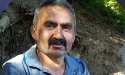 Kestiği ağaç sonu oldu