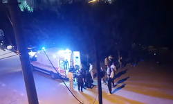 Pamukova'da kaza