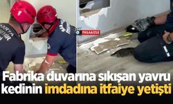 Fabrika duvarına sıkışan yavru kedinin imdadına itfaiye yetişti