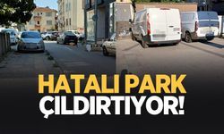 Hatalı park çıldırtıyor!