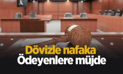 Yargıtay'dan dövizle nafaka ödeyenlere müjde