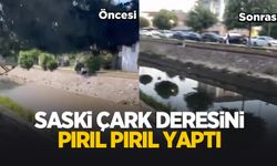 Çark Deresi'nde biriken polen ve atık maddeler temizlendi