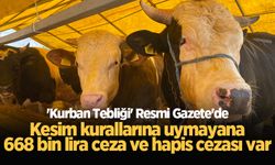 'Kurban Tebliği' Resmi Gazete'de: Kesim kurallarına uymayana 668 bin lira ceza ve hapis cezası var