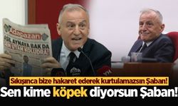 Sıkışınca bize hakaret ederek kurtulamazsın Şaban! Sen kime köpek diyorsun Şaban!