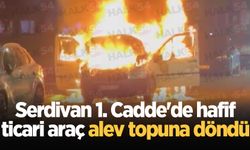 Serdivan 1. Cadde'de hafif ticari araç alev topuna döndü