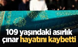 109 yaşındaki asırlık çınar hayatını kaybetti