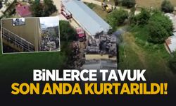 Çiftlikte yangın çıktı; Binlerce tavuk kurtarıldı