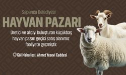 Sapanca’da geleneksel hayvan pazarı bu yıl da faaliyete geçti