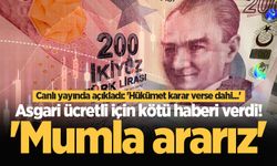 Asgari ücret için kötü senaryoyu canlı yayında açıkladı 'Hükümet karar verse dahi...'