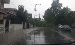 Şeker Mahallesi’nde ağaç yola devrildi