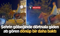 Şehrin göbeğinde dörtnala giden atı gören dönüp bir daha baktı