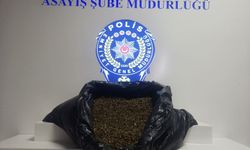 10 yıl hapis cezası bulunan şahıs yakalandı: Evinden 3 kilo bonzai çıktı