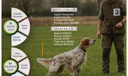 Ferizli’de Av Köpekleri Güzellik ve Mera Yarışması başlıyor