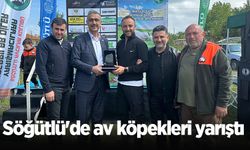 Söğütlü'de av köpekleri yarıştı