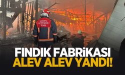 Fındık fabrikası alev alev yandı