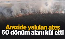 60 dönüm arazi yandı
