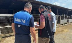 Serdivan’da kurban bayramı öncesi sıkı denetim