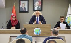 Hendek Meclisi 9 gündem maddesini karara bağladı
