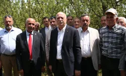 Bayraktar, Kastamonu’da zirai dondan zarar gören bahçelerde incelemelerde bulundu