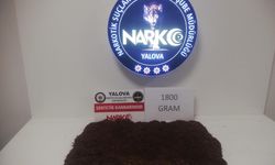 Yalova'da uyuşturucu operasyonunda 1 tutuklama
