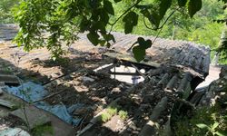 İpini koparan boğa 3 metre yükseklikten otomobilin üzerine düştü
