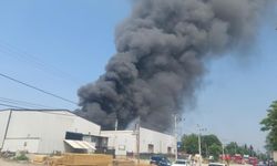 Kocaeli'de fabrika yangını