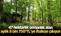 47 hektarlık ormanlık alan aylık 8 bin 750'TL'ye ihaleye çıkıyor