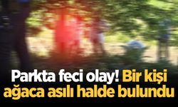 Parkta feci olay! Bir kişi ağaca asılı halde bulundu