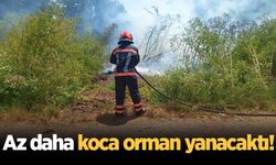 Kaynarca'da orman yangını