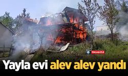 Hendek'te yayla evi alev alev yandı