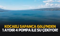 Kocaeli Sapanca Gölü'nden son 1 aydır 4 pompa ile su alıyor