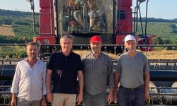 TMO Kaynarca'da hububat alımına 1 Temmuz’da başlayacak