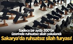 Sakarya'da ruhsatsız silah furyası! Sadece bir ayda 200'ün üzerinde ruhsatsız silah yakalandı