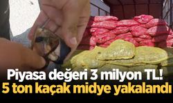Piyasa değeri 3 milyon TL! Sakarya'da 5 ton kaçak midye yakalandı