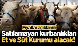 Satılamayan kurbanlıkları Et ve Süt Kurumu alacak! Fiyatlar açıklandı