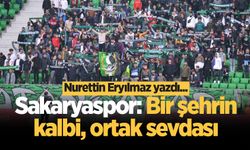 Sakaryaspor: Bir şehrin kalbi, ortak sevdası