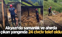 Akyazı'da samanlık ve ahırda çıkan yangında 24 civciv telef oldu