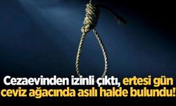 Cezaevinden izinli çıktı, ertesi gün ceviz ağacında asılı halde bulundu!