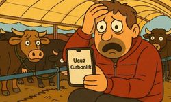 İnternetten 'ucuz kurbanlık' ilanına kandı, 130 bin TL'si gitti!
