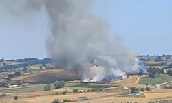 Kocaeli-Adapazarı sınırında yangın! 50 bin tavuk yanmaktan son anda kurtarıldı