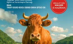 YÖÇEYDER’den 2025 yılı kurban çağrısı; Vekalet bedeli 14.000 TL