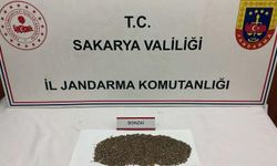 Sakarya'ya uyuşturucu getiriyorlardı, jandarma yakaladı