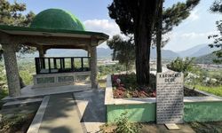 Karıncalı Dede'nin karıncalarla kurduğu bağ hikayesi