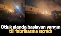Otluk alanda başlayan yangın, tül fabrikasına sıçradı