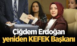 Çiğdem Erdoğan yeniden KEFEK Başkanı