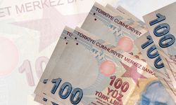Aylık en yüksek reel getiri DİBS'te oldu