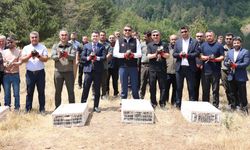 500 keklik doğaya salındı