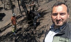Geyve'de fidan mesaisi başladı