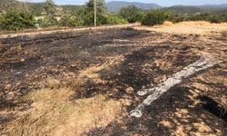 Bilecik'te anız yangını büyümeden söndürüldü