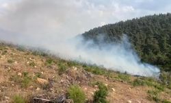 Aynı bölgede 15 günde 2'nci orman yangını